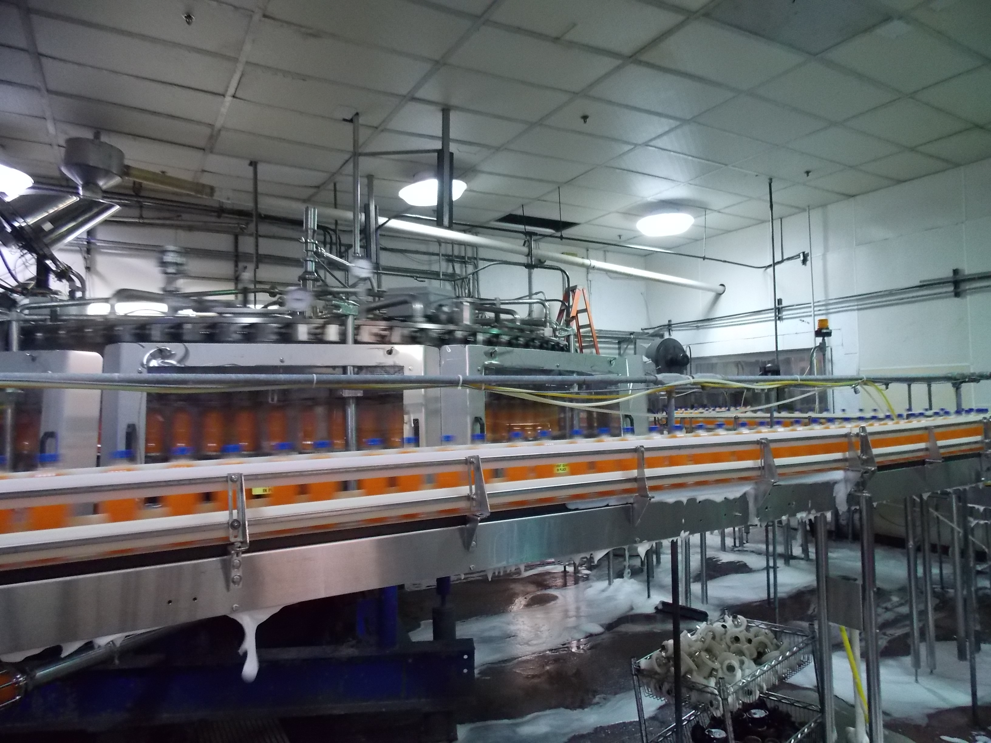 Ambec Assorted Full Bottle Conveyor United Food & Beverage