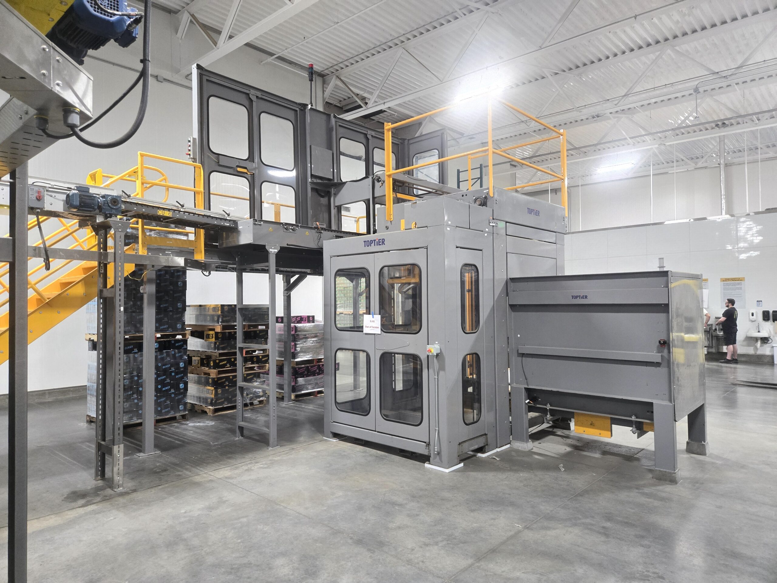 Top Tier Model TT-DS High Level Palletizer with Stretch Wrapper